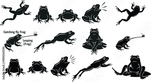 Frog Icon Set Featuring Various Poses Including Leaping, Catching a Fly, and Relaxing for Wildlife, Animal Behavior, and Nature Designs