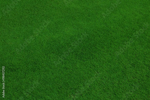 Green grass background top view. Photo texture of trimmed golf course grass.
