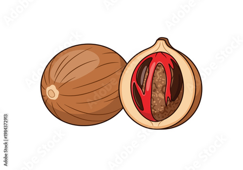 An illustration shows a whole and halved walnut with red kernel contents.