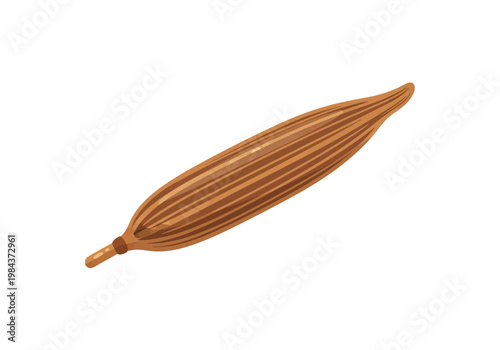 An illustration of a single brown seed pod with ridges lying on a surface