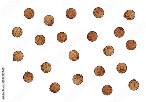 A collection of hazelnuts scattered on a surface.
