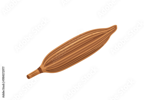 An illustration of a single brown seed pod on a white background.