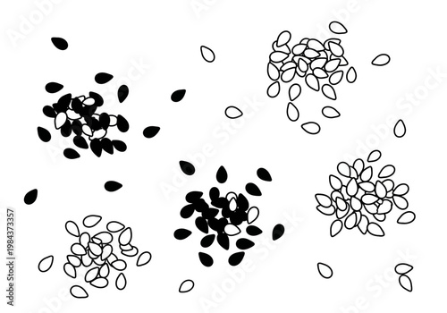 Black and white illustration of seeds scattered on a surface with several clusters
