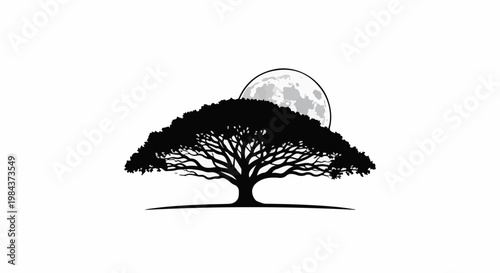 Silhouette of a large tree with a detailed moon behind its branches