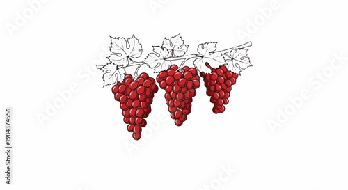 Ripe red grape clusters hang from a vine with delicate green leaves