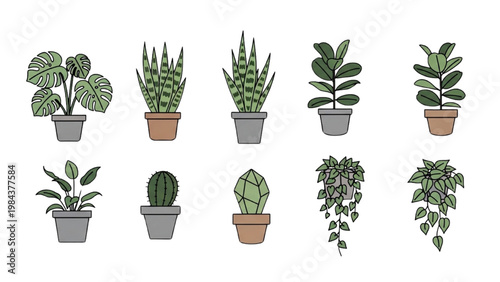 Various plants in pots are depicted in a vector 2D CAD illustration.