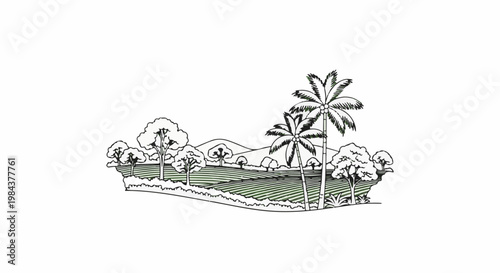 Rolling hills with palm trees, cultivated fields, and varied foliage