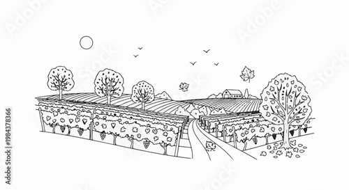 Rural vineyard scene with rolling hills, trees, a farm, and birds