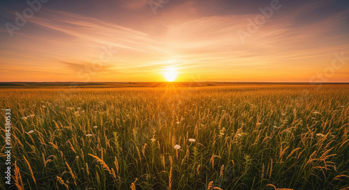 A serene landscape of a wheat field at sunset with a vibrant sky