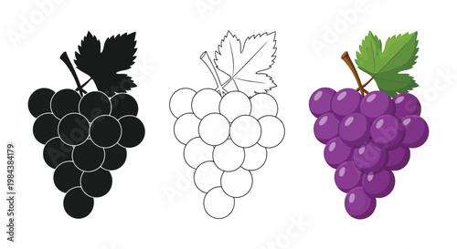Three bunches of grapes shown in varying shades and outlines