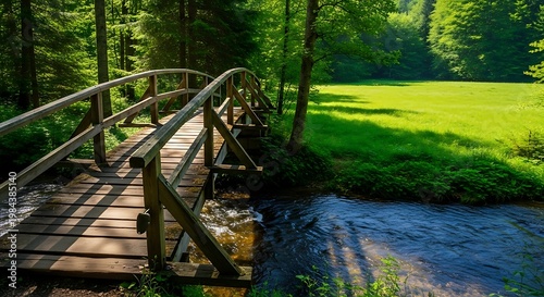 Wooden bridge crossing a clear stream in a lush green forest with sunlight filtering through the trees onto a vibrant meadow