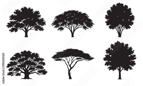 Black silhouette tree collection diverse shapes and foliage for design