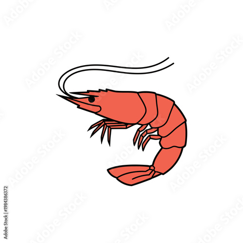 Red Shrimp Vector Illustration Isolated on White
