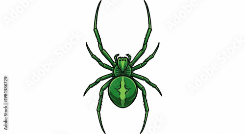 A vibrant green spider with eight long, segmented legs and a bulbous abdomen
