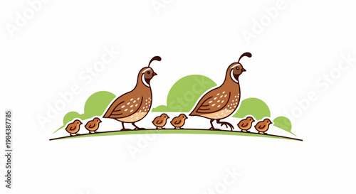 Two quail and their chicks walk across a green grassy hill
