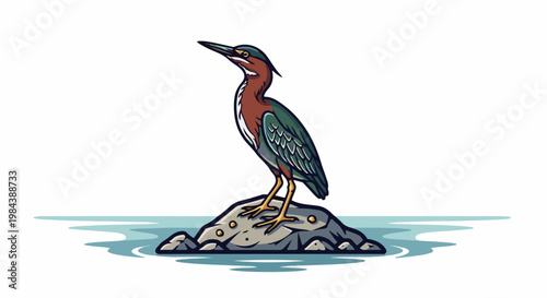 A detailed illustration of a heron standing on a rock in water