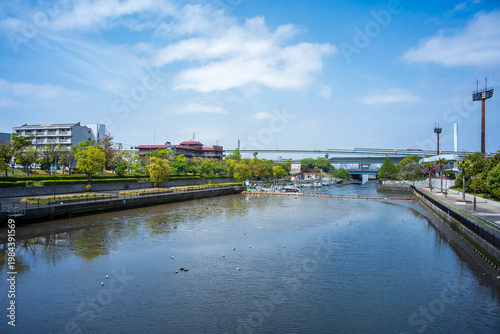 春の新左近川親水公園の風景　東京都江戸川区