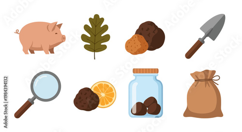 Fresh and Organic Food Ingredients Collection