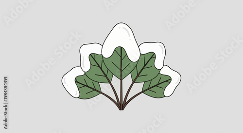 Green leaves covered in fluffy white snow, against a plain gray background