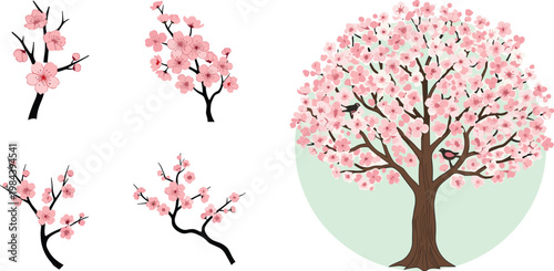 Cherry blossom tree and branch collection illustration with pink sakura flowers, detailed botanical elements set, isolated floral designs for decorative and creative use