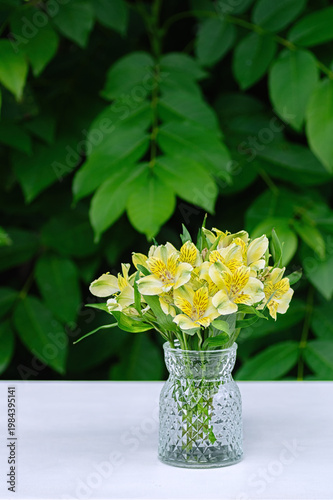 Yellow alstroemeria bouquet in glass vase on white table with green leaf background