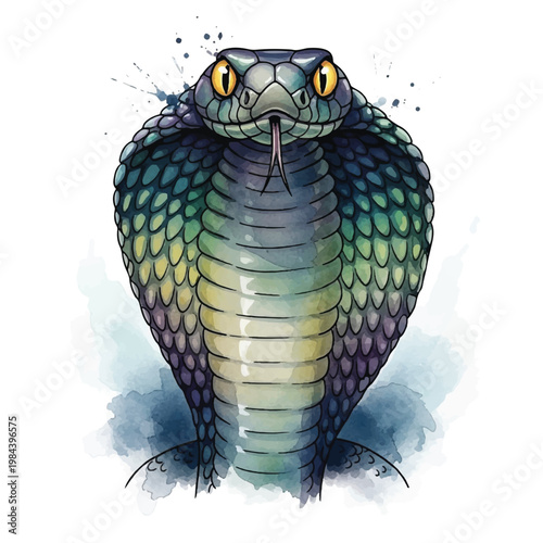 Colorful cobra snake head closeup portrait.