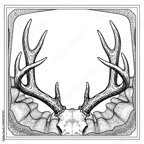Detailed drawing of deer antlers.
