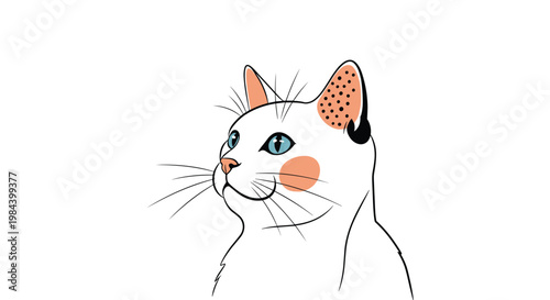 Illustration of a cute white cat head with blue eyes and pink cheeks looking up against a plain white background.