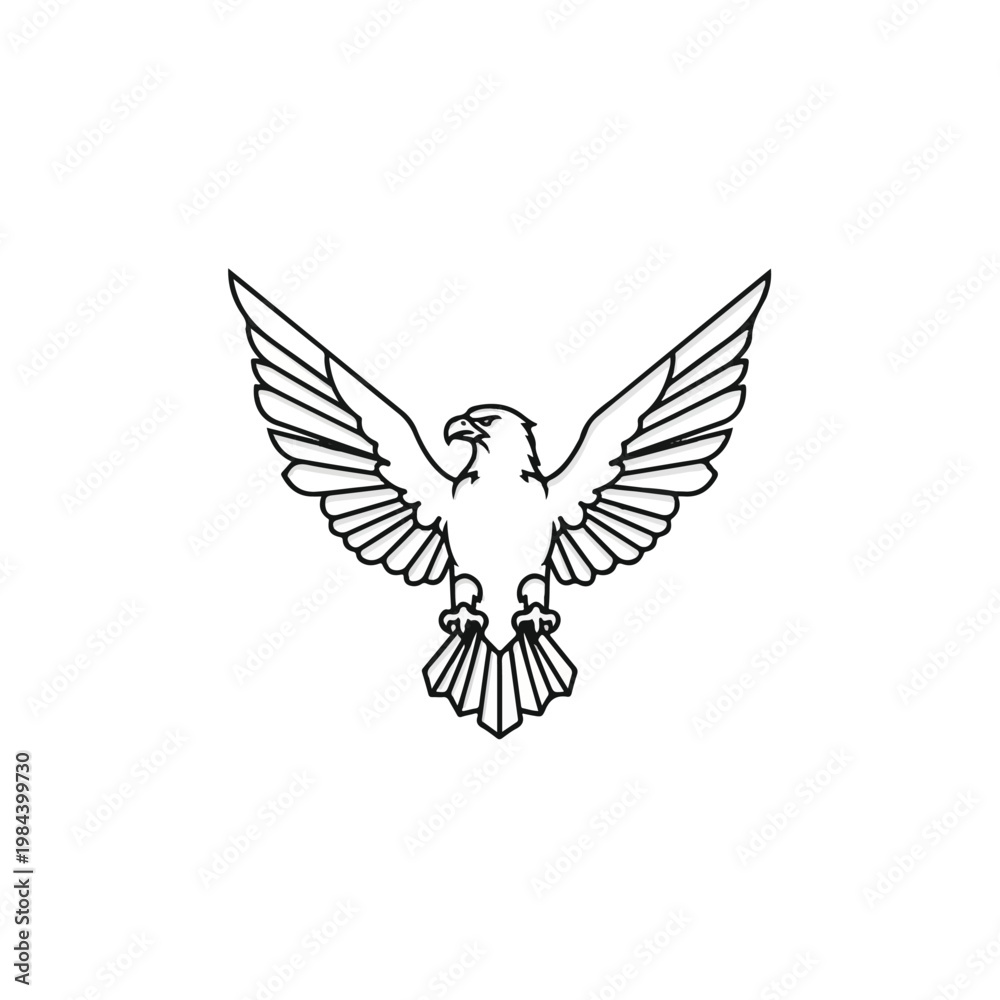 Fototapeta premium Eagle Bird Flying Wings Spread Wide.