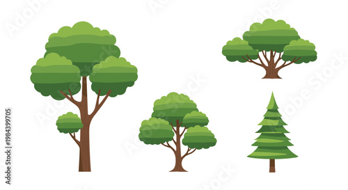 Collection of four different types of green trees including a tall broadleaf and a conical evergreen tree.