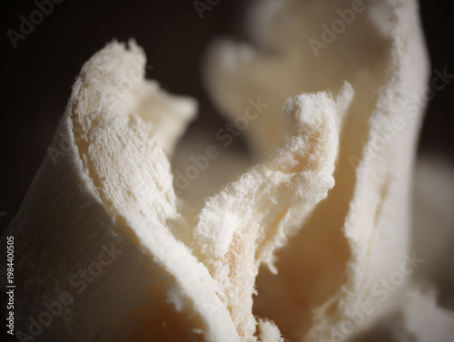 Delicate Fungi Closeup: Intricate details of mushroom showcasing texture and form. Capture nature's elegant beauty.