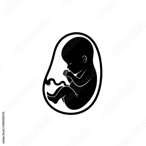 Human Fetus Silhouette Vector Illustration for Medical Use