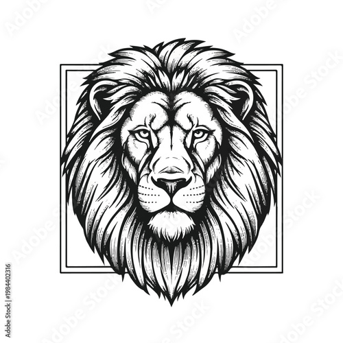 Lion Face Closeup Illustration Portrait.