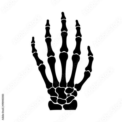 Human Skeleton Hand Bones Silhouette Vector Illustration