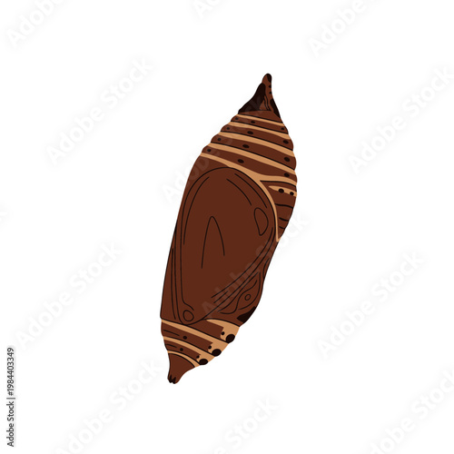 Brown Butterfly Chrysalis Vector Illustration Isolated on White