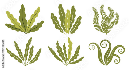 Collection of various green seaweed or underwater plant illustrations in different wavy and spiral shapes for marine design themes.