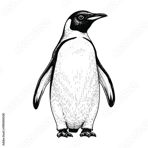 Penguin standing on two feet.