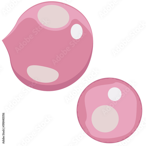 bubblegum balloon, chewing gum bubble.