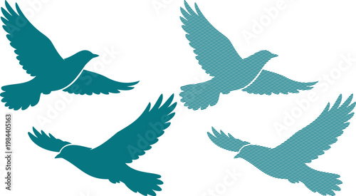 Four teal colored birds in flight on white background
