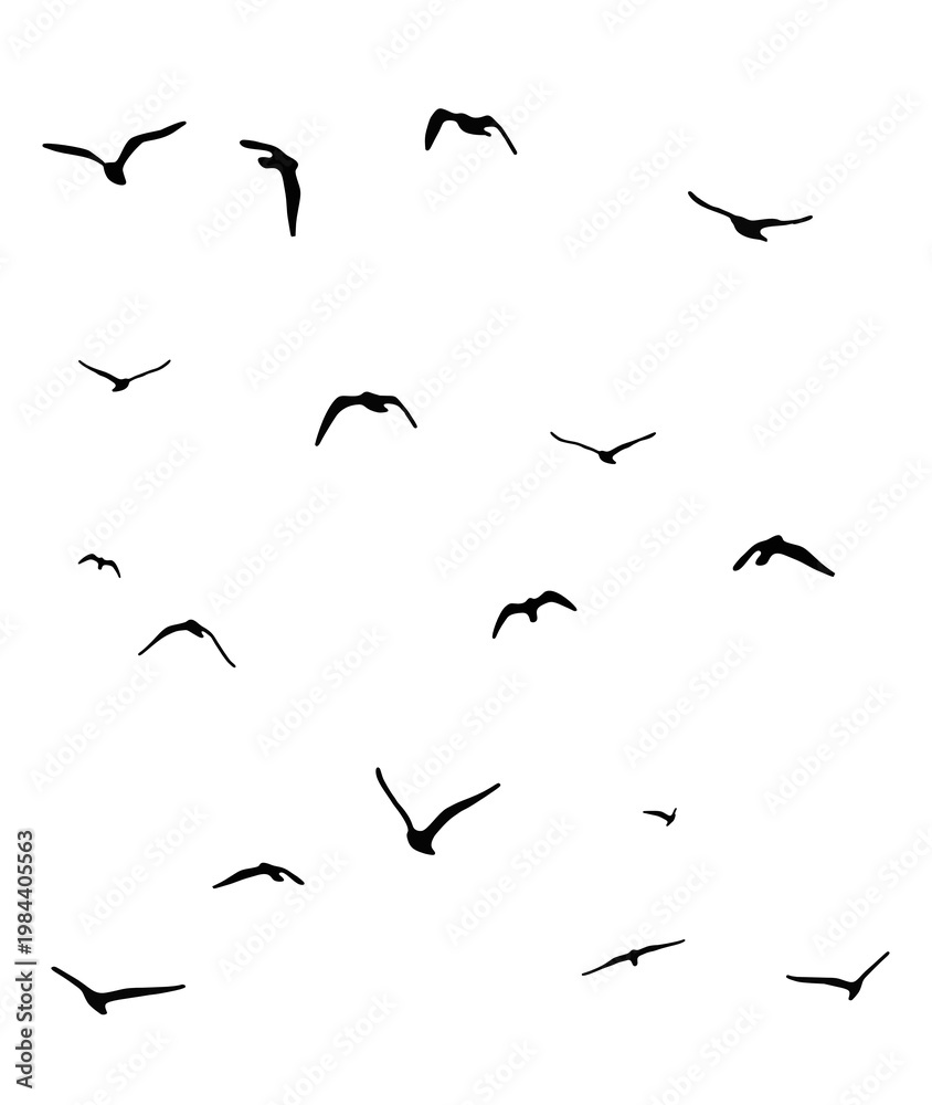 Obraz premium flock of duck birds flying on clear background png. png flock of birds flying in sky isolated clear background. flock of birds silhouette isolated on transparent clear background