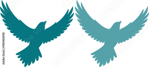Two teal birds in flight on white background flying 1