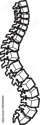 Human Spine Anatomy Line Art Illustration Icon