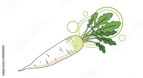 Fresh white daikon radish with green leaves and abstract circular elements isolated on a plain background for healthy food concepts.