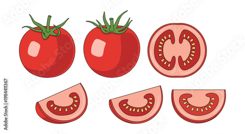 Set of fresh red tomatoes including whole fruits, half, and wedges for healthy cooking, food illustration, and recipe design elements.