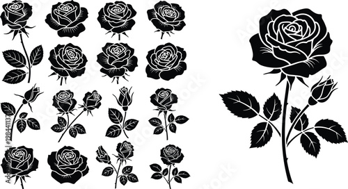 Black Rose Silhouette Collection with Leaves and Buds Elegant Floral Vector Set for Decorative Design Tattoo and Pattern Use