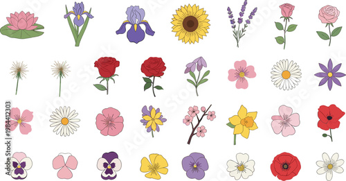 Colorful flower vector collection with various blossoms including rose sunflower daisy tulip and cherry blossom flat floral elements isolated on white background