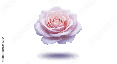 A delicate blush pink rose in full bloom, gracefully suspended in mid-air, casting a soft shadow below, symbolizing serene elegance and natural beauty