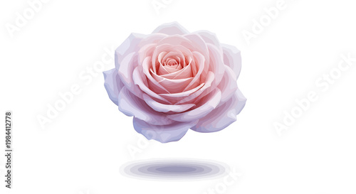 Delicate pink rose in full bloom, gracefully suspended above a subtle ripple on a pristine white background, evoking feelings of serene beauty and pure elegance