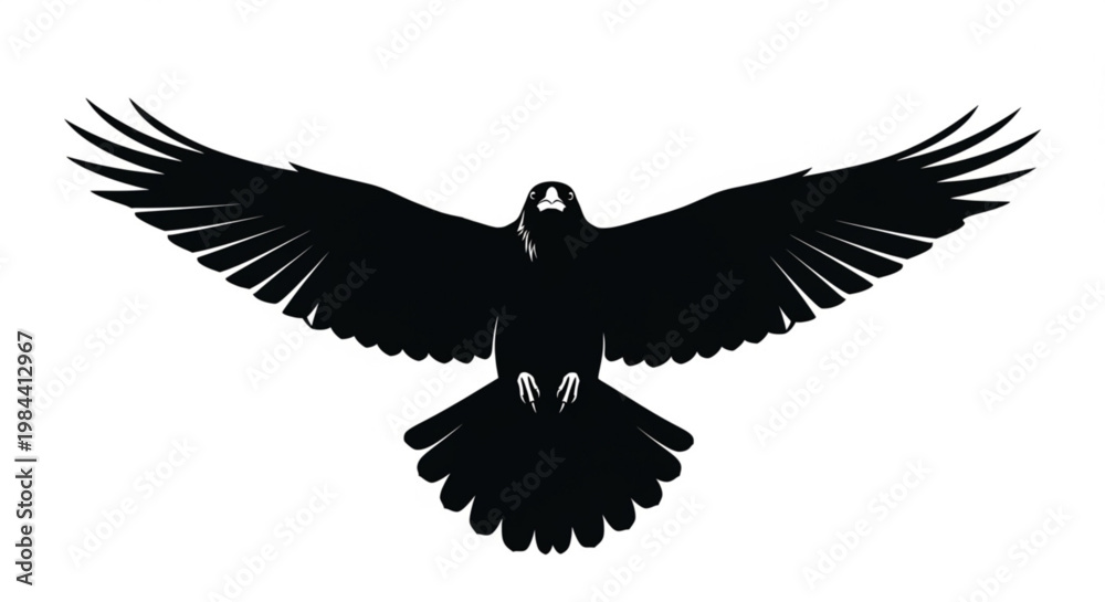 Fototapeta premium Eagle flying with wings spread vector illustration silhouette design