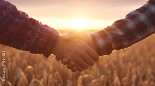 Handshake in wheat field at sunset, partnership and agreement in rural landscape